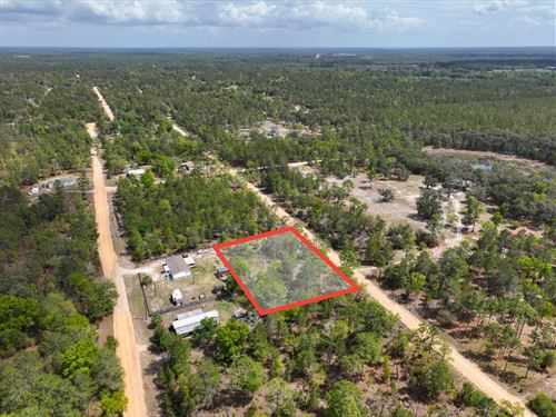 Triple-Sized Lot Reduced Cash Price : Interlachen : Putnam County : Florida