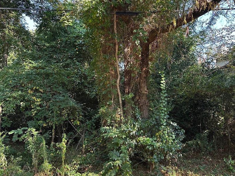 .13 Acre Lot in Jefferson County : Birmingham : Jefferson County : Alabama