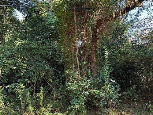 .13 Acre Lot In Jefferson County : Birmingham : Jefferson County : Alabama