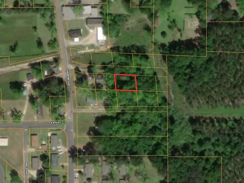 .19 Acre Lot in Crenshaw County : Luverne : Crenshaw County : Alabama