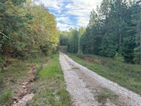 7Ac Near Coosa Wma : Rockford : Coosa County : Alabama