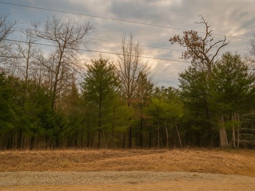 6.9 Acres Wooded Land in Arkansas : Mountain Home : Baxter County : Arkansas