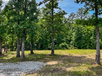 Electric and Water on Property : Licking : Texas County : Missouri