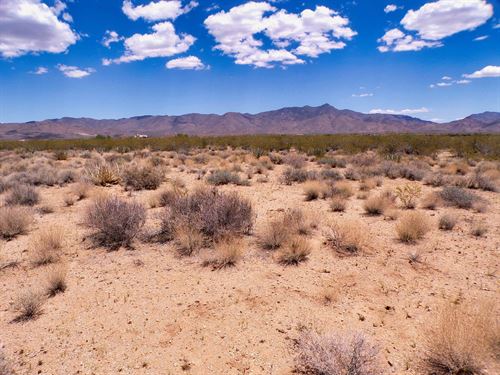 1 Acre Prime Land in Mohave AZ : Golden Valley : Mohave County : Arizona