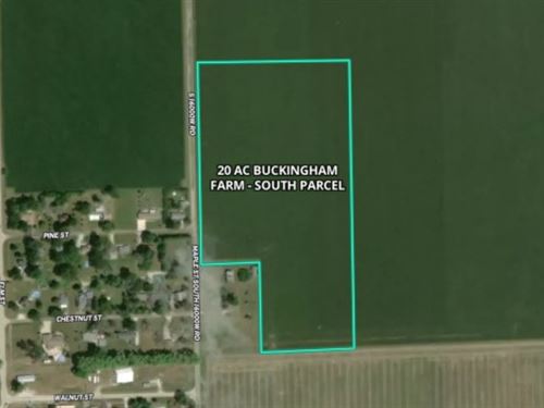 20 AC Buckingham Farm South Parcel : Buckingham : Kankakee County : Illinois