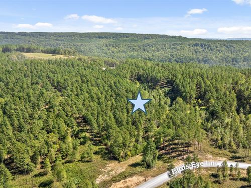 2.83 Acre Site in River Gorge Ranch : Guild : Marion County : Tennessee