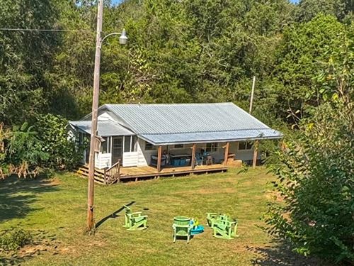 Profitable Permaculture Farm, MS : Bolton : Hinds County : Mississippi
