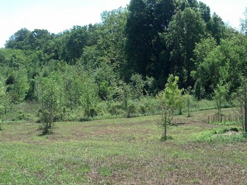 Greenfield Farms, 6.11 Acres : Manchester : Coffee County : Tennessee