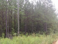 Keysville Farms, 3.10 Acres : Keysville : Burke County : Georgia