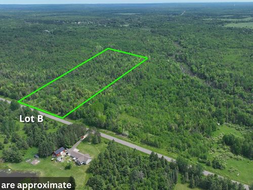 One Lot Left, Michigan Lot : Trout Lake : Ontonagon County : Michigan