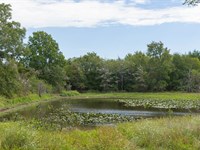 Land Near Lake with Small Pond : Canadian : Pittsburg County : Oklahoma