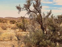 Your Texas Adventure Starts Here : Sierra Blanca : Hudspeth County : Texas