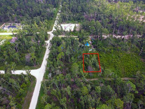 Lot Near Suwannee River Park Estate : Live Oak : Suwannee County : Florida