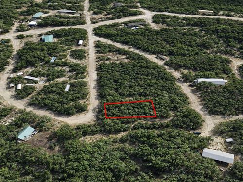 .1 Acre in Bandera, $250 a Month : Bandera : Texas