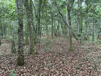 Practically 20 : Brantley : Crenshaw County : Alabama