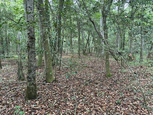 Practically 20 : Brantley : Crenshaw County : Alabama