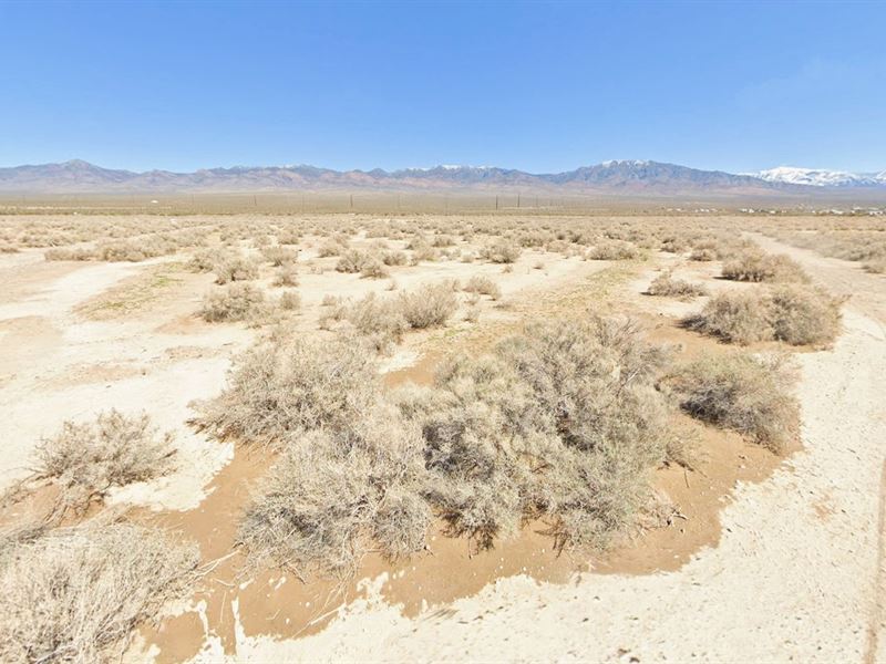 $549.09 Down, Multifamily Ready Lot : Pahrump : Nye County : Nevada