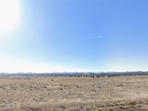 Freedom, Space, and Investment : Show Low : Apache County : Arizona