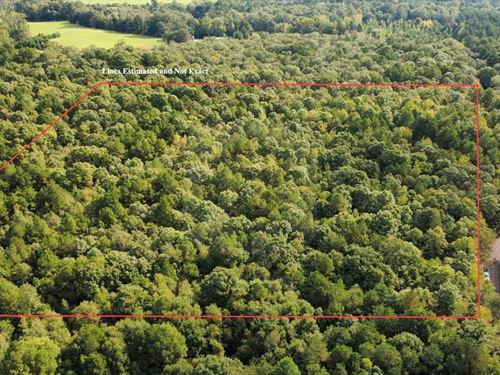 10 Acres Clark Co AR Near I-30 : Arkadelphia : Clark County : Arkansas