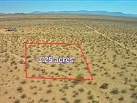 1.25 Acre RV Camping, $109/Month : Dolan Springs : Mohave County : Arizona