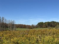 Southern Tier Valley Views : New Berlin : Chenango County : New York