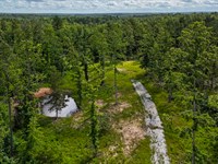 Beauty of The Ozarks : Bucyrus : Texas County : Missouri
