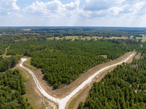 10 Acres, 572 Robertson Road : Lovelady : Houston County : Texas