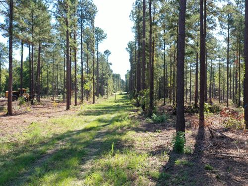 O'quinns Pond Farm, 5.14 Acres : Milledgeville : Baldwin County : Georgia