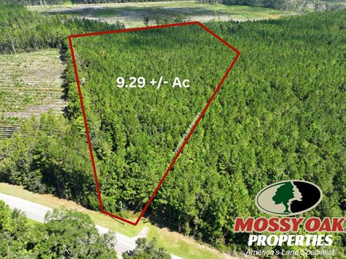 9.29 Acres Old Jefferson Hwy, Woodb : Woodbine : Camden County : Georgia
