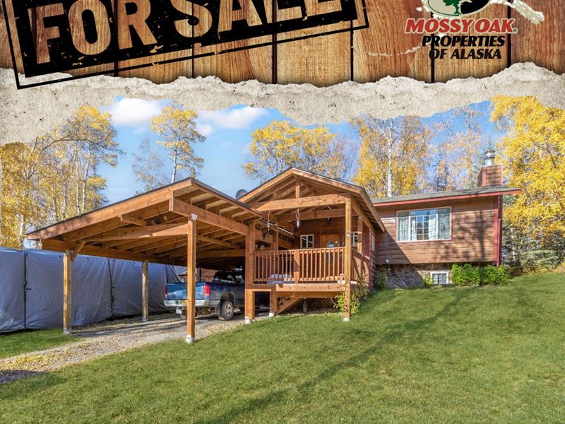 44530 Lumberjack Lane Otna : Soldotna : Kenai Peninsula Borough : Alaska