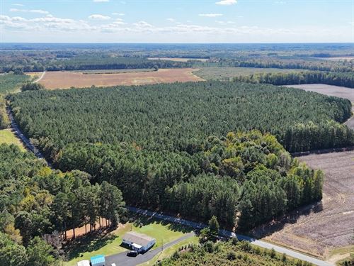 4.56 Acres of Hunting And Residenti : Emporia : Greensville County : Virginia