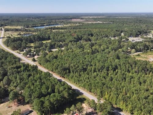 2.21 Acres in Sellers, SC : Sellers : Dillon County : South Carolina