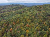 Where Silence Wins : Fleetwood : Ashe County : North Carolina