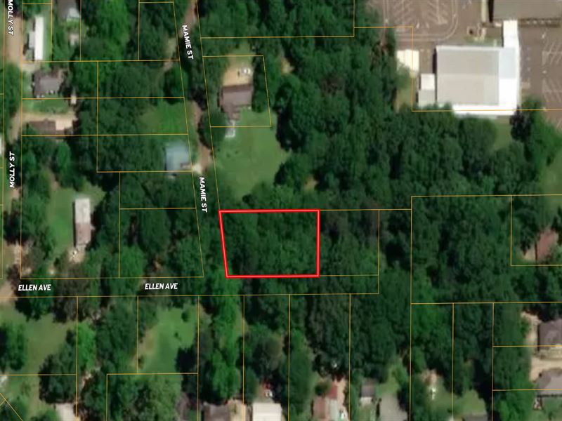 Brookhaven Corner Lot : Brookhaven : Lincoln County : Mississippi
