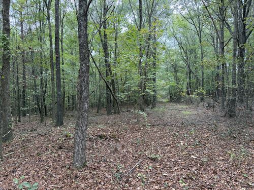 5 Ac in Cedartown Ga, Power & Water : Cedartown : Polk County : Georgia