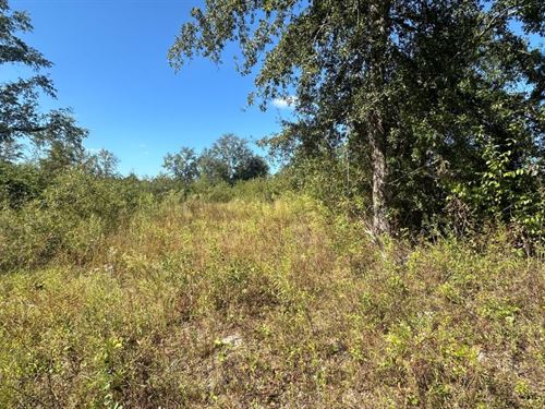 Ski Pond Homesite : Sylvania : Screven County : Georgia