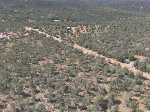 Fall in Love with Mountain Living : Timberon : Otero County : New Mexico