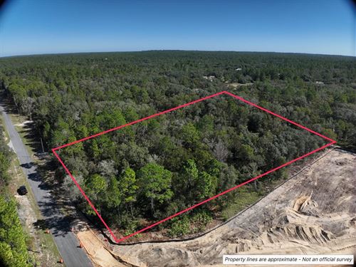 2.73 Acre Residential Lot in Citrus : Beverly Hills : Citrus County : Florida