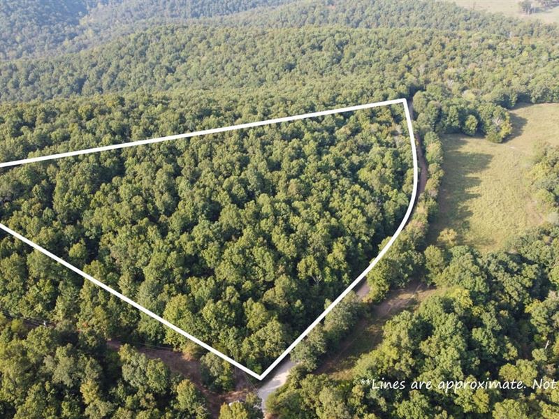 Marion Co 5 : Bruno : Marion County : Arkansas