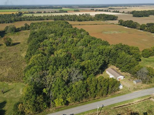 10 AC Property With Utilities Fo : Poplar Bluff : Butler County : Missouri