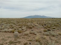 4.95 Acres in Colorado for Hunting : Blanca : Costilla County : Colorado