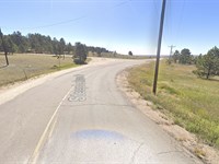 5 Acres, Horse-Friendly, Wooded : Peyton : El Paso County : Colorado