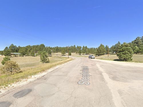 10 Acres, Horse Friendly, Wooded : Peyton : El Paso County : Colorado