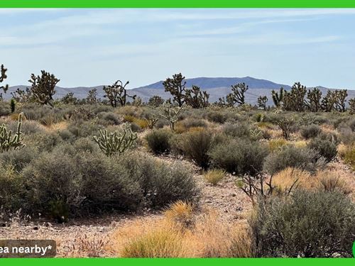 1.25 Acres in Meadview, AZ : Meadview : Mohave County : Arizona