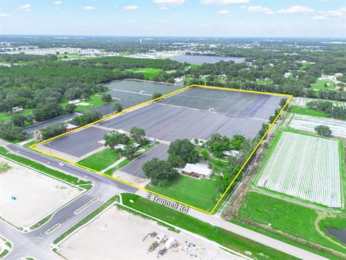 Trapnell Residential Development : Plant City : Hillsborough County : Florida
