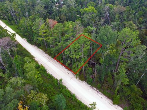 Suwannee River Park Estates Lot : Live Oak : Suwannee County : Florida