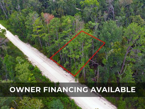 Suwannee River Park Estates Lot Liv : Live Oak : Suwannee County : Florida