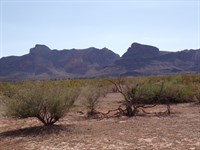 19 Acres in Mohave, Power & Water : Golden Valley : Mohave County : Arizona