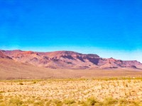 Open Front, Hidden Back, Huge Value : Yucca : Mohave County : Arizona