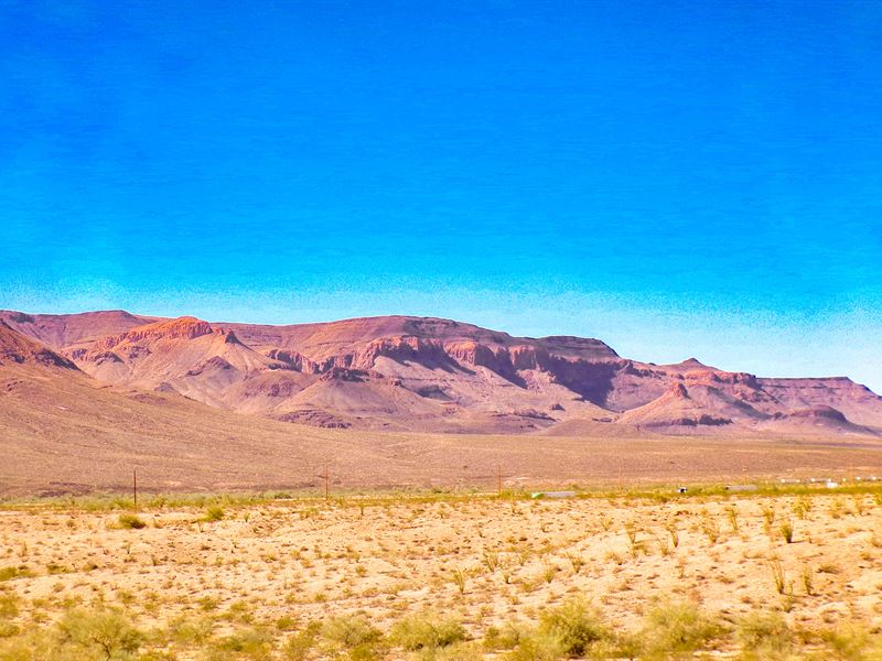 Open Front, Hidden Back, Huge Value : Yucca : Mohave County : Arizona